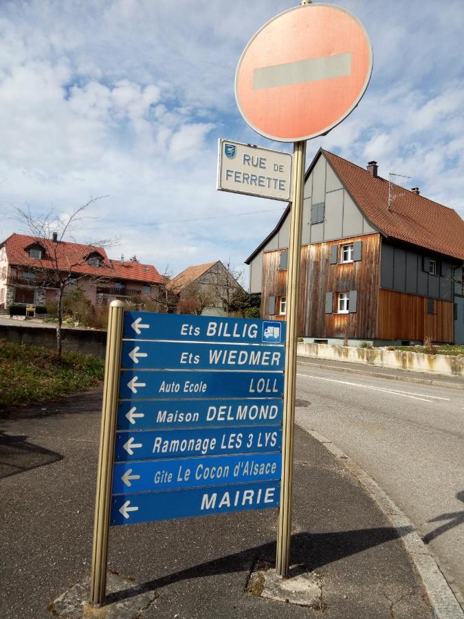 Отель Le Cocon D'Alsace Folgensbourg Экстерьер фото
